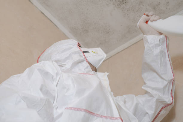 Environmental Consulting for Mold Prevention in Far Hills, NJ